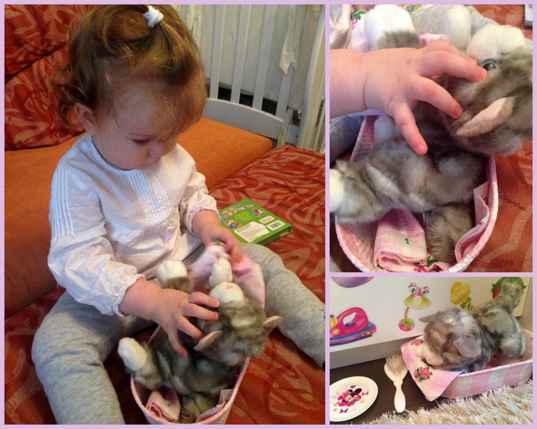 Наш Кошачий день