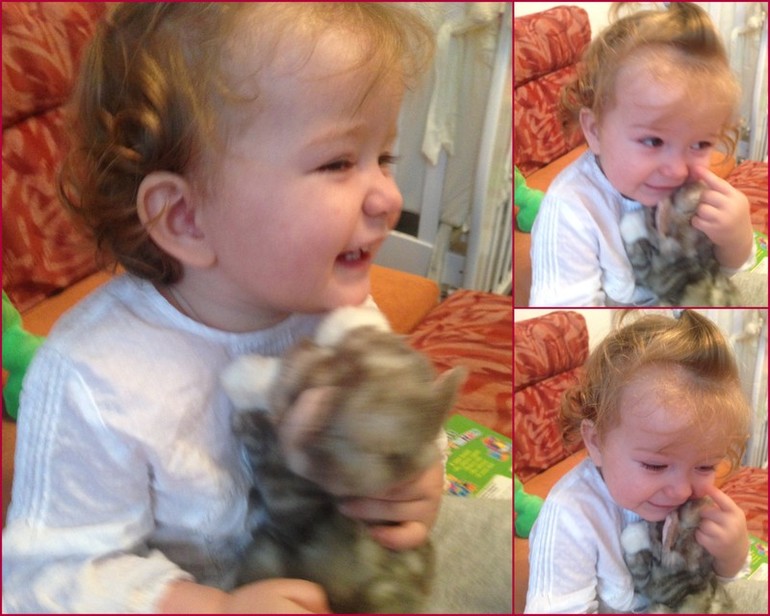 Наш Кошачий день