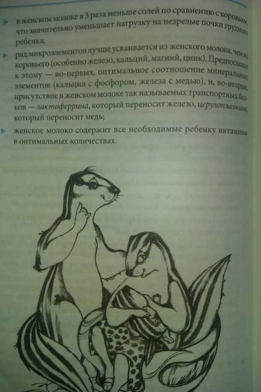 Разница между женским и коровьем молоком, из книги Комаровского