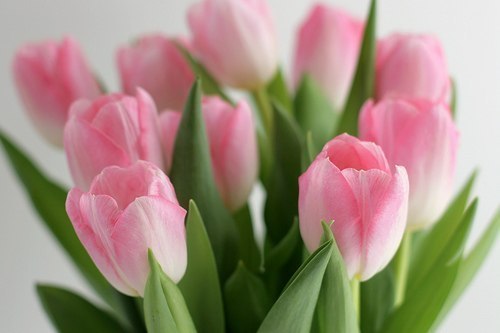 Взлёт 72, шаг 5