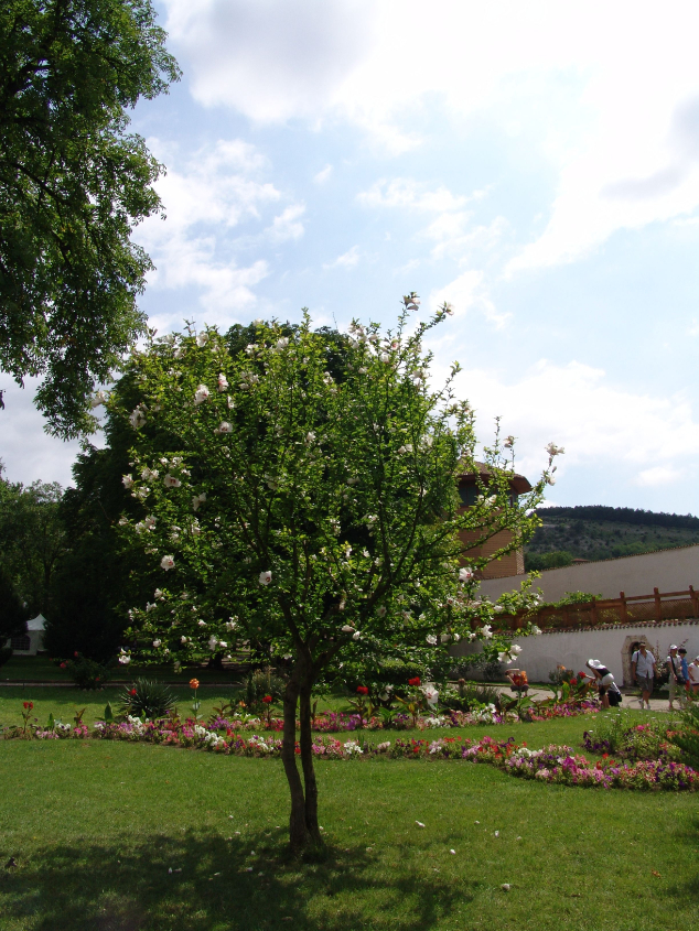 Бахчисарай и окрестности.