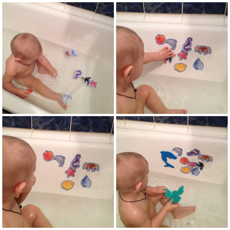 ТН неделя - домашние животные. День 4 - рыбки