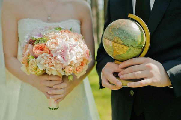 Розы сорта Дэвид Остин...