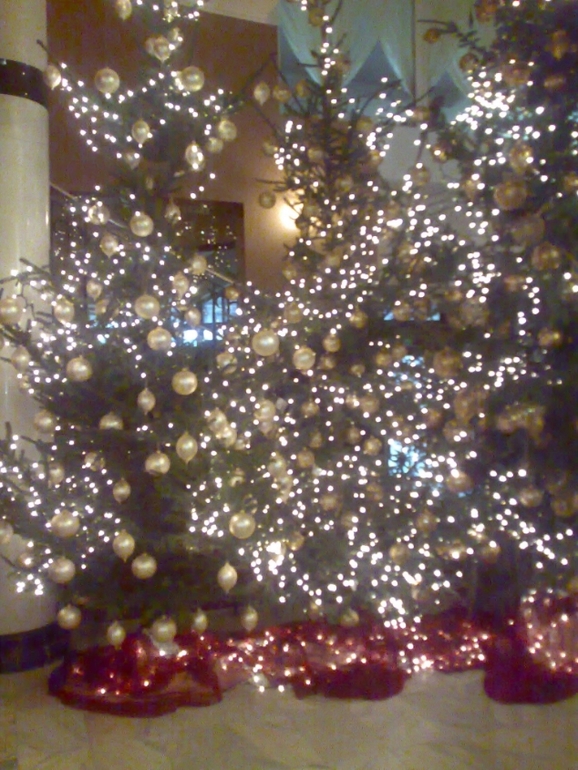 Курица не птица - Польша не заграница,,, или отчёт о поездке