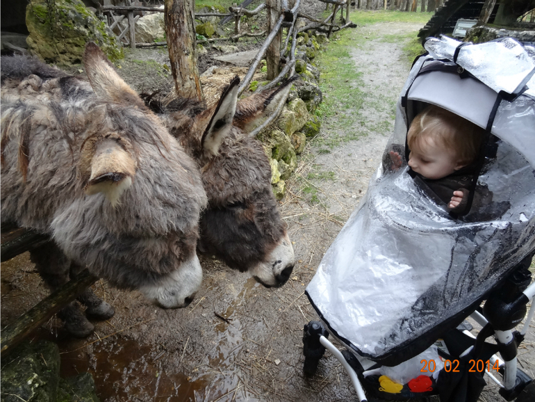 Наше путешествие (ОГРОМНЕЙШИЙ ПОСТИЩЕ)