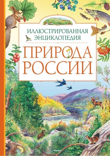 Новинки: