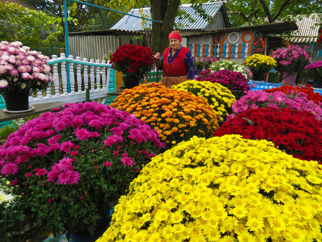 Любите ли вы их также как люблю их я....