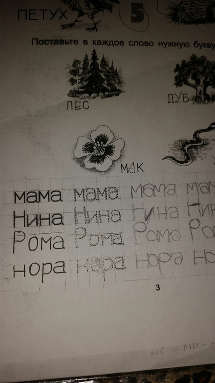 0bace303316cfc3222cb194613c9def8.jpg