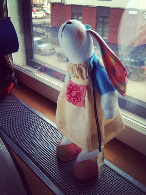 Зайцы. Снова зайцы!