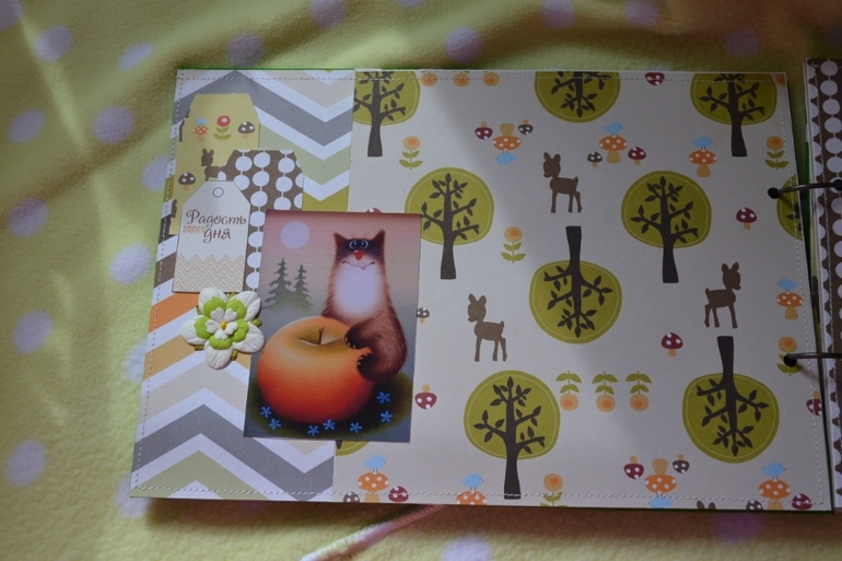 Кошкин дом- альбом для девочки