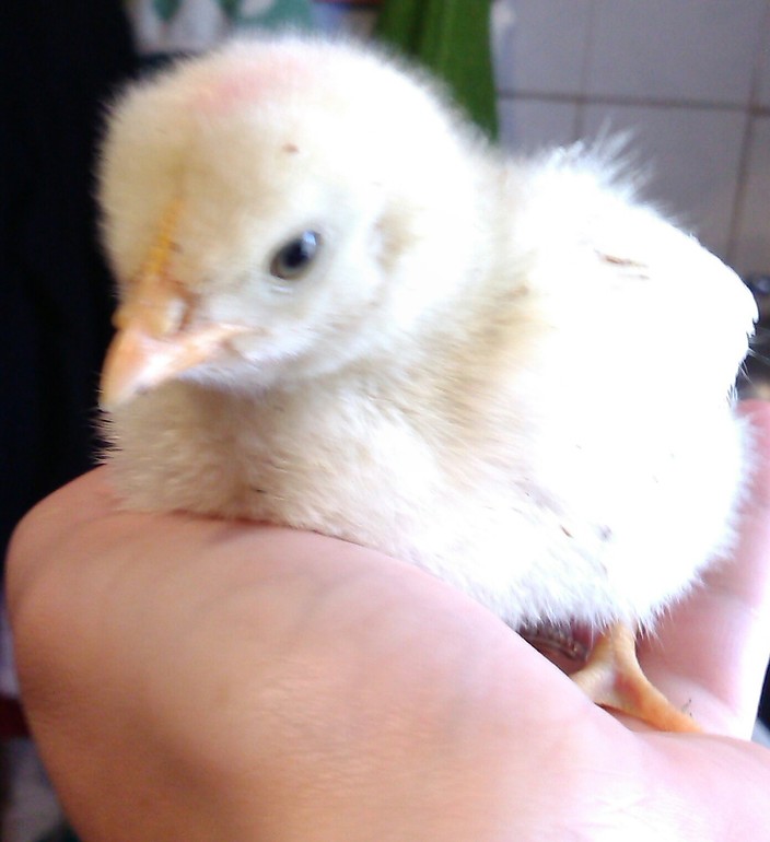 Во кого я завела!!!!