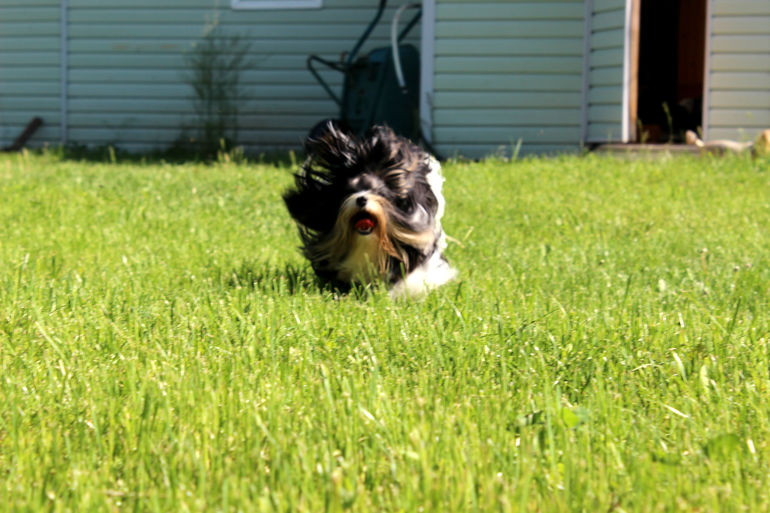 ШЕРИ 06.06.2014 БЫЛ ГОДИК