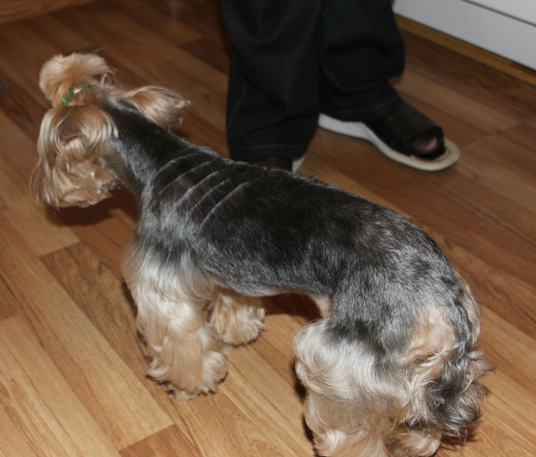 Сегодня приходили.........