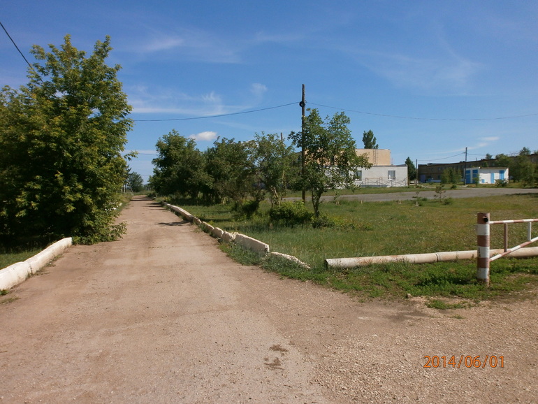 Поездка в ДД с акцией