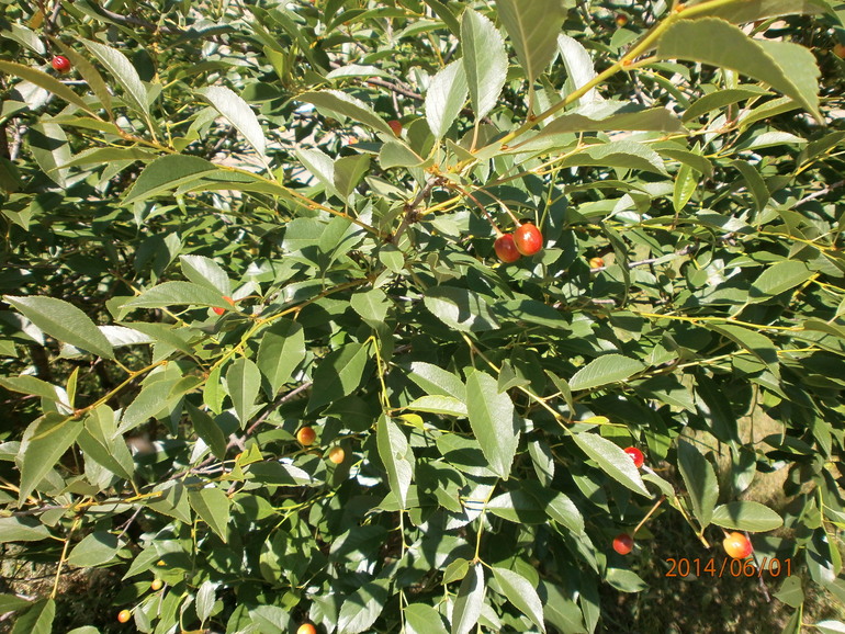 Поездка в ДД с акцией