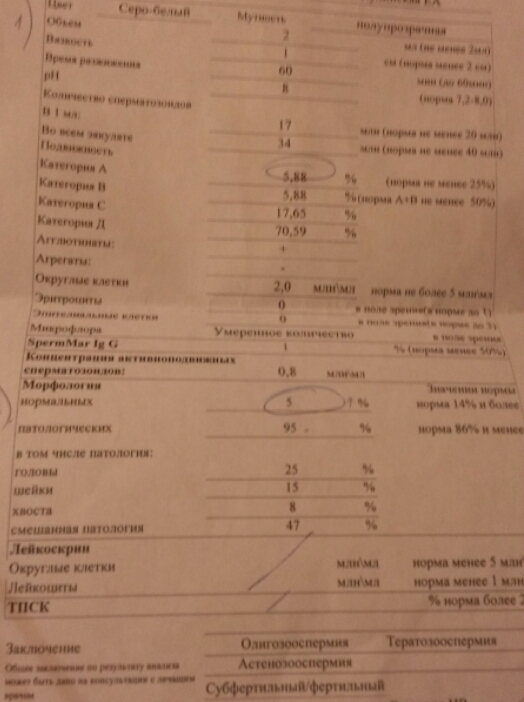 забраковали спермограмму