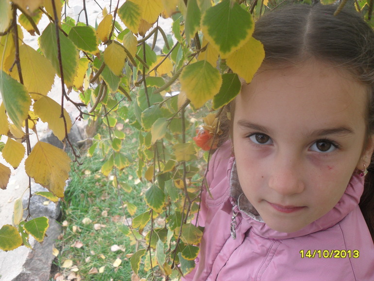4efaa3f00042a76c1c13fb0229bf18ed.jpg
