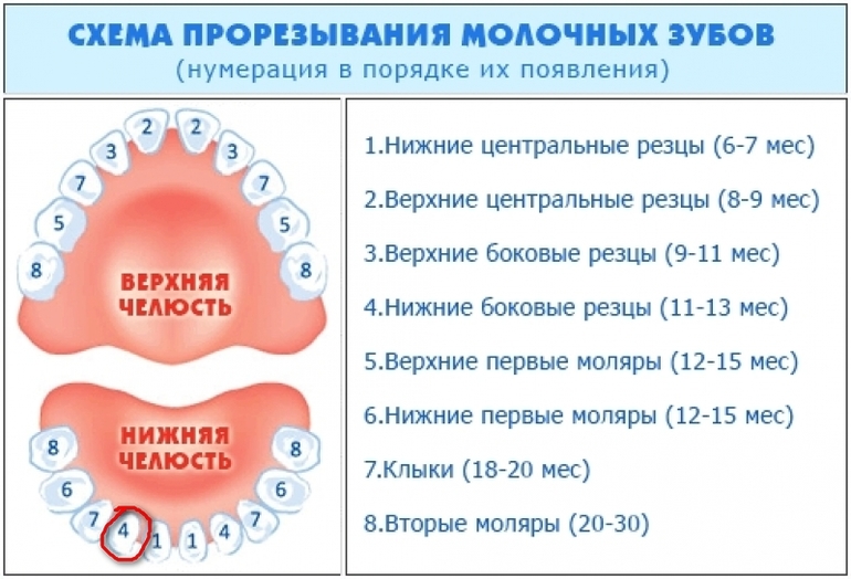 fa02a36b82b4aeb8b0e00c7ad22d4790.jpg