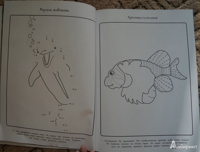 подарок КИРЬЯНУ на год и шесть=))))