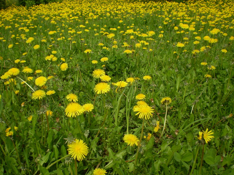 24d0494ab0692115fa0a65325cc878dd.jpg