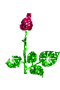 b708d0fb4b61185f81d29ca529facf15.gif