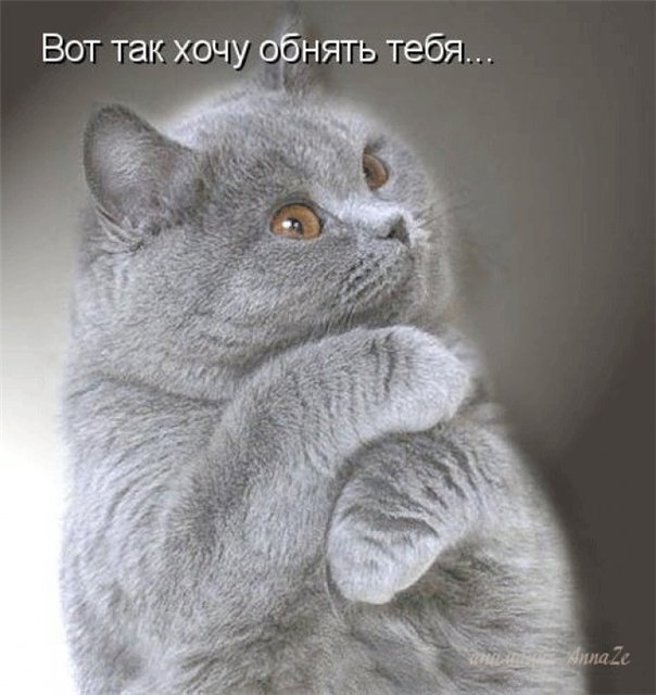 eec73d084ad8ca9fc1377d0e50b17355.jpg