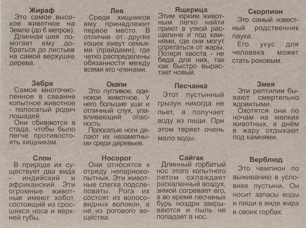 Дидактическая игра