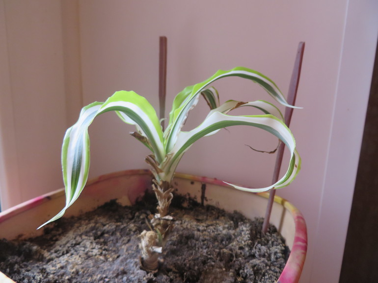 Разбор залежей по всей квартире. м. Юго-Западная