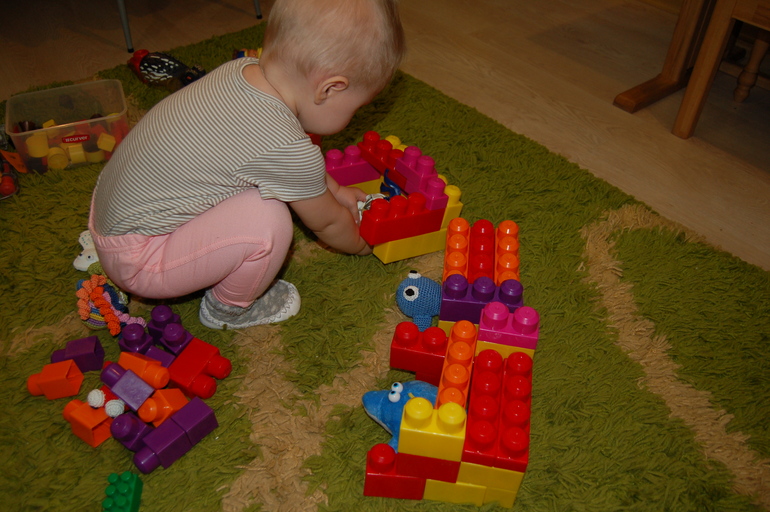 ТН Море. Кит,дельфин,черепаха