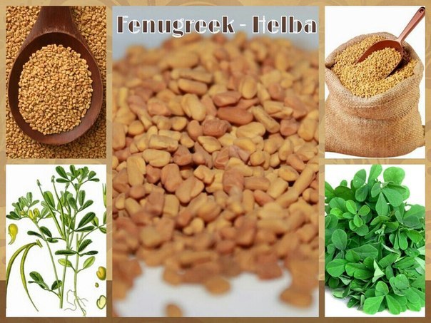 Хельба-лекарство от ста болезней!!!! есть в продаже!!!