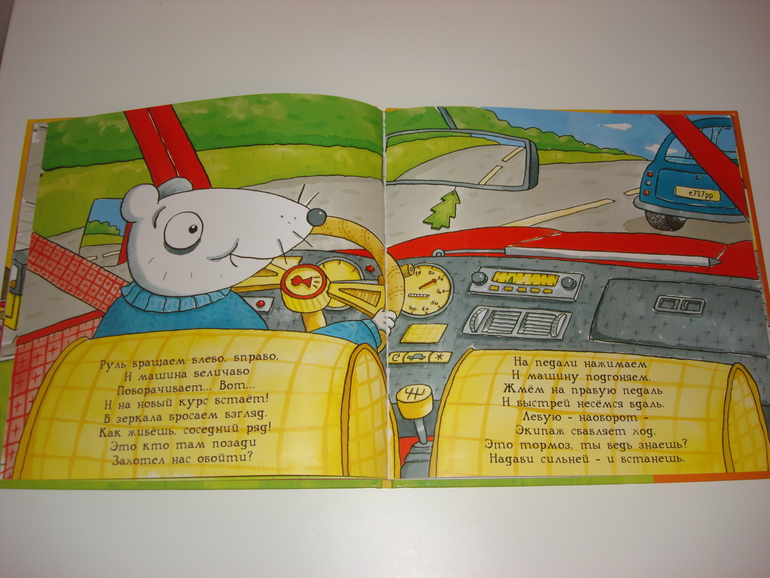 Робинс окошки