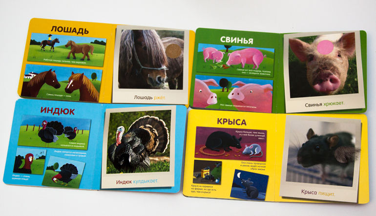 Наши книги до 1 года. С тактильными вставками