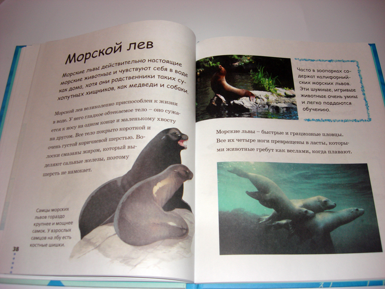 Первый снег...