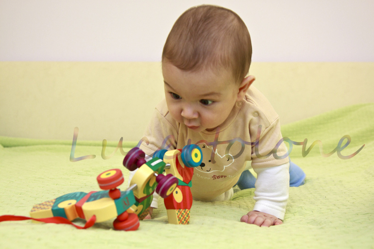 Подарочный фонд. Часть 6. Пингвины для Эммы