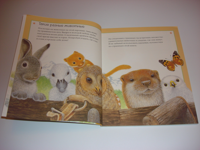 Подарочный фонд. Наклейки на 3 годика