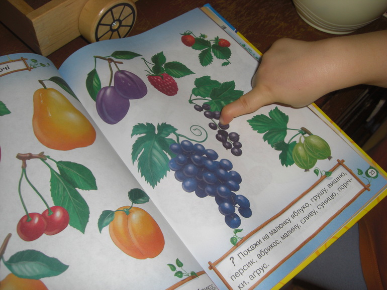 ФМ Ягоды День 1. Смородина