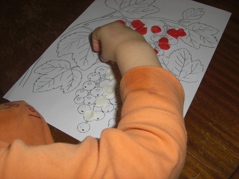 ФМ Ягоды День 1. Смородина