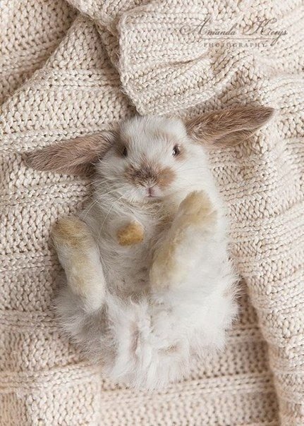 Начинаем сегодня стараться...