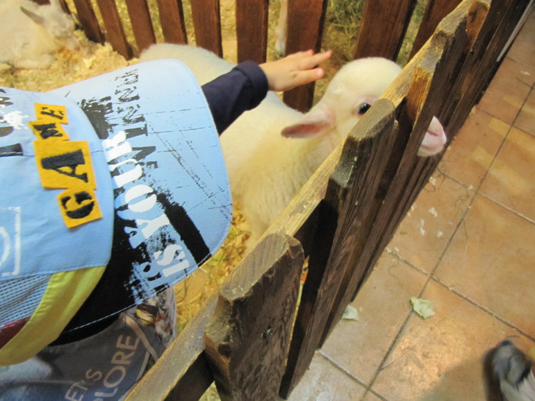 Трогательный зоопарк