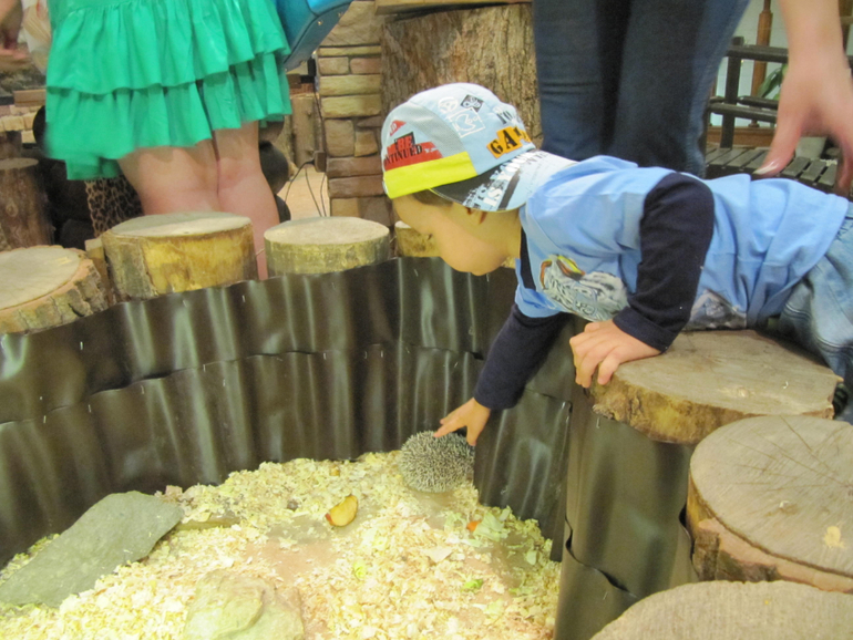 Трогательный зоопарк