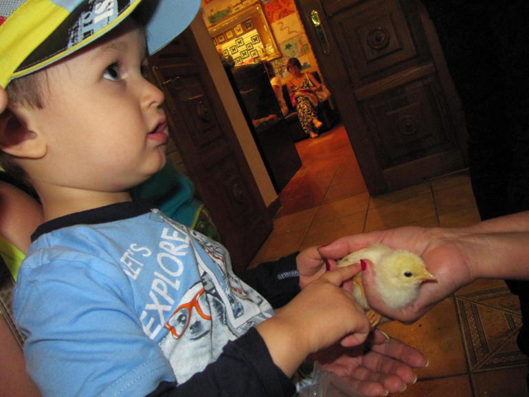 Трогательный зоопарк