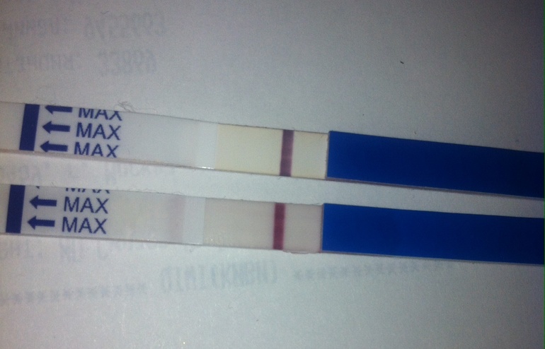 Схожу с ума... Или уже?