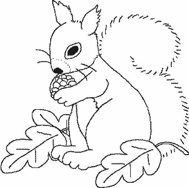 da6bc5b03d538634fa57aa4c0c01f7de.png