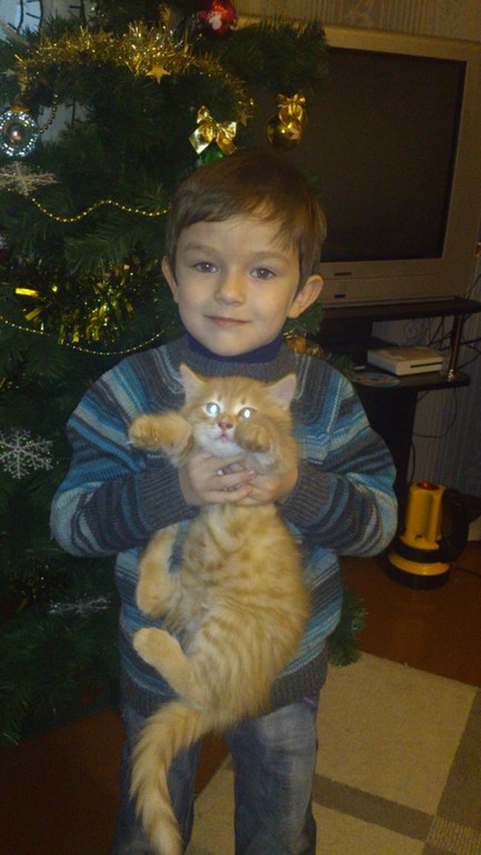 Пуловер-полосатик №2