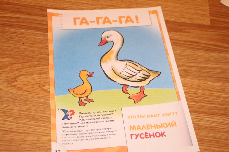 Отчет. Гусь.