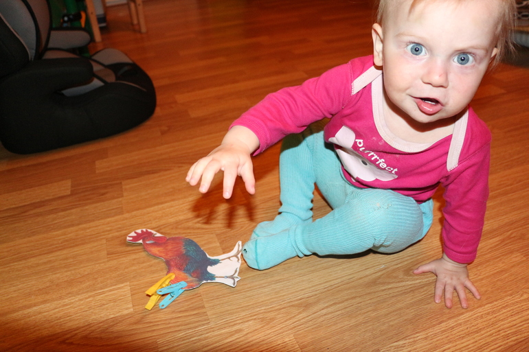 Отчет Курица, петух, цыпленок