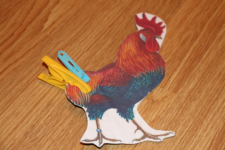 Отчет Курица, петух, цыпленок