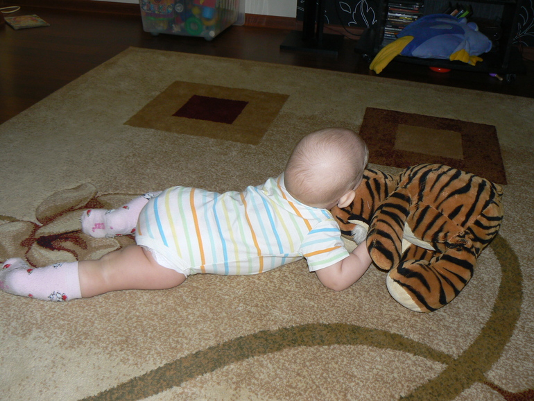 Ёжкины санки