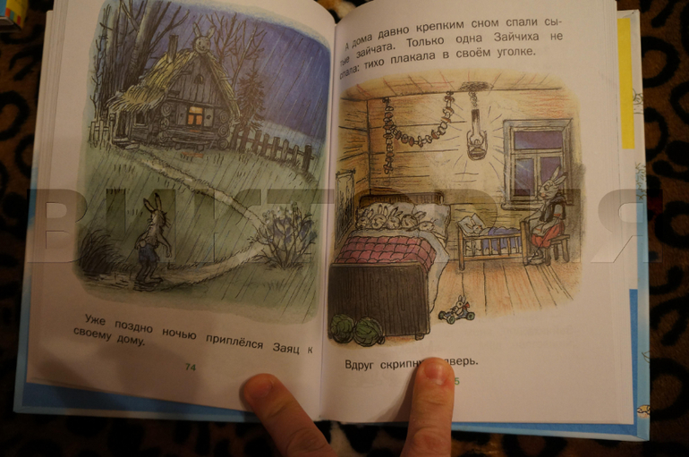 наш В. Сутеев