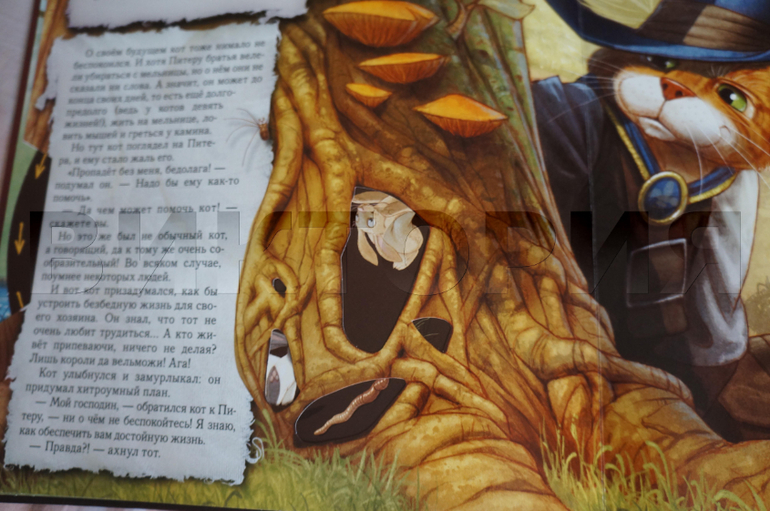 книги с панорамками и двигающимися элементами.